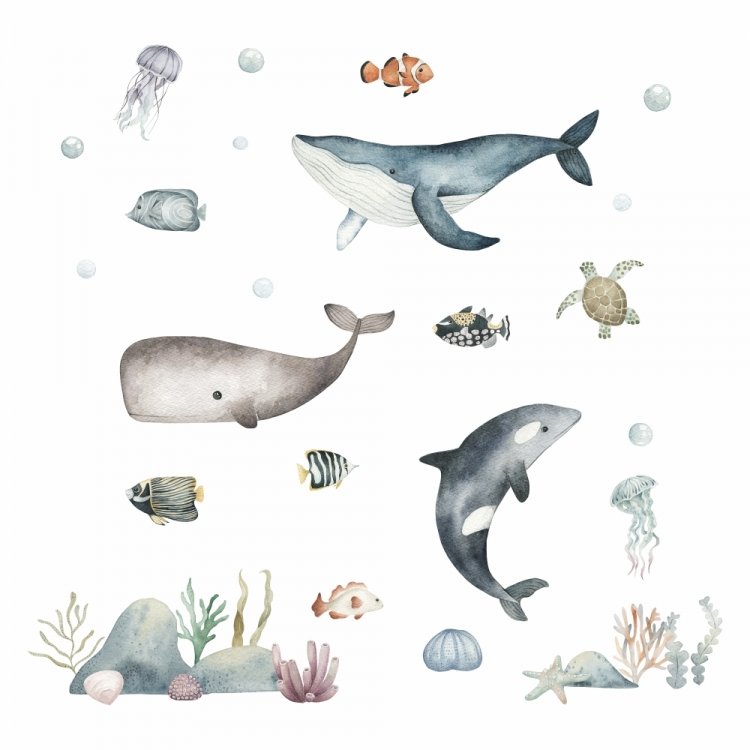 Oceán - Podmorský svet /  Nálepka na stenu Ocean - veľryby, delfín, ryby, korytnačka, rastliny a kamene DK444 