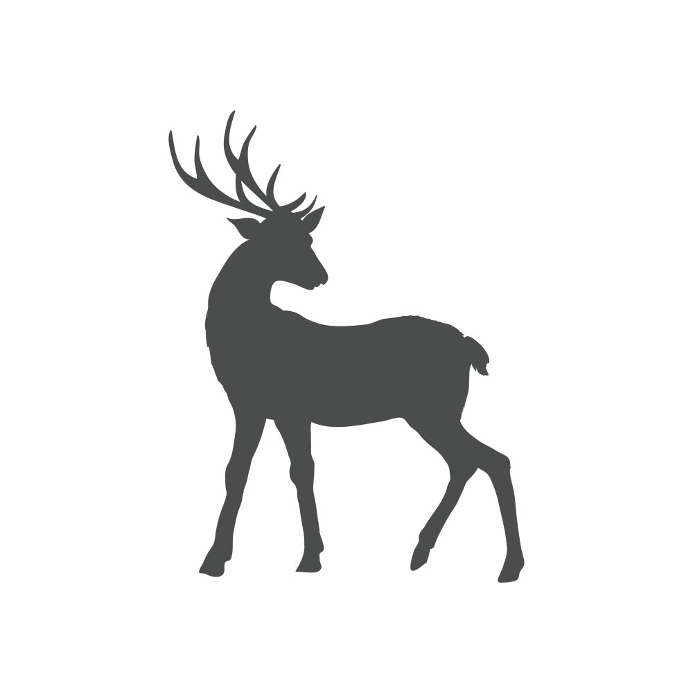 Forest - Lesný motív /  Nálepka na stenu Deer - jeleň Z074 