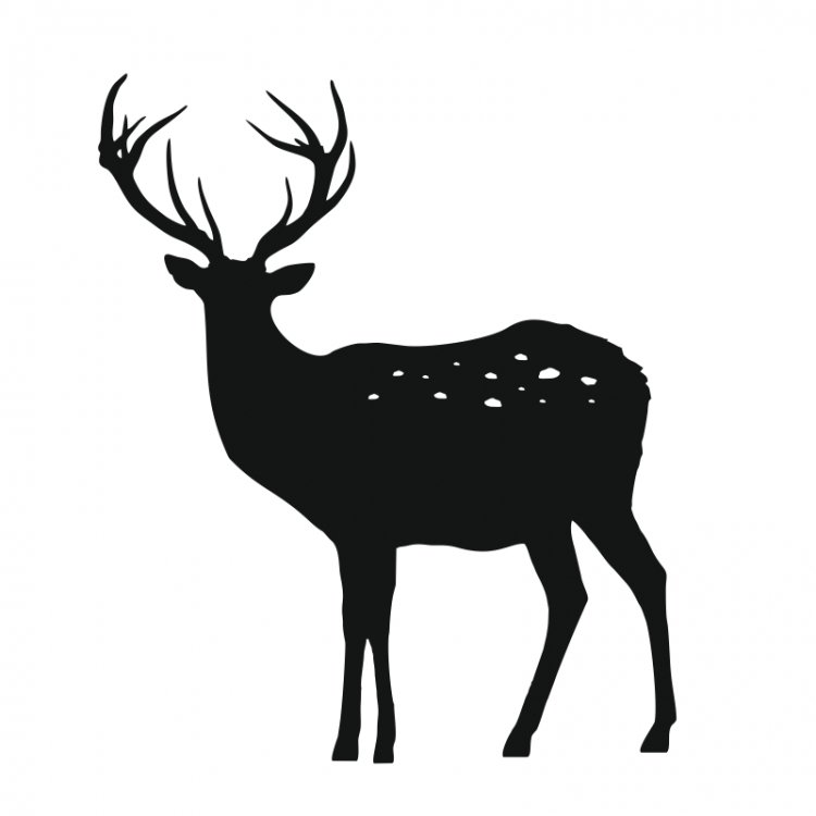 Forest - Lesný motív /  Nálepka na stenu Deer - jeleň Z050 