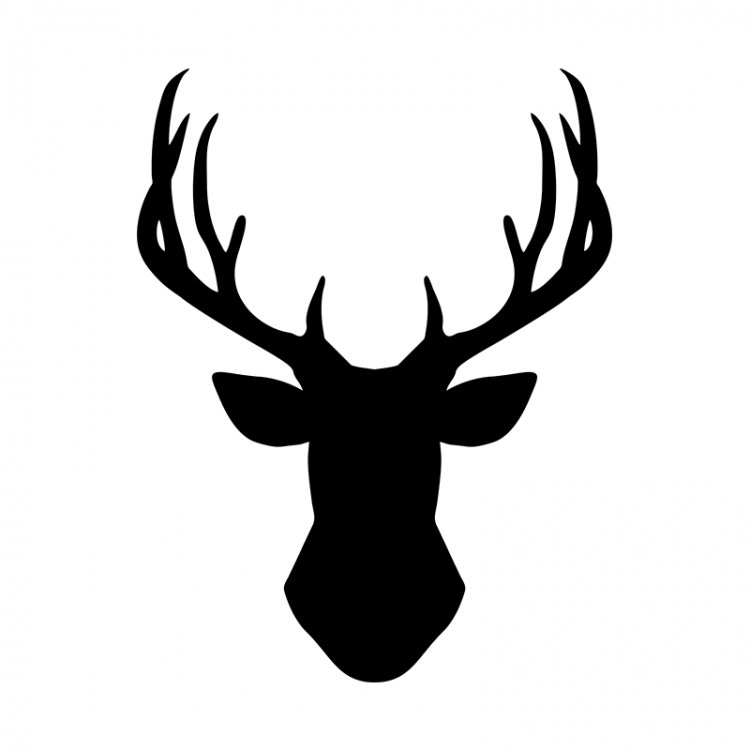 Forest - Lesný motív /  Nálepka na stenu Deer - jeleň Z054 