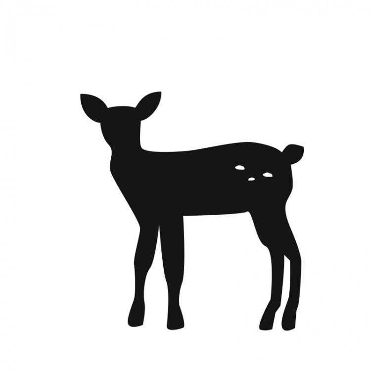Forest - Lesný motív /  Nálepka na stenu Deer - srnček Z052 