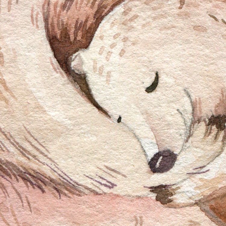 Forest - Lesný motív /  Nálepka na stenu Forest - spiace medvede DK257 