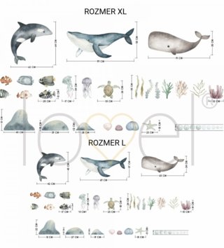 Oceán - Podmorský svet /  Nálepka na stenu Ocean - veľryby, delfín, ryby, korytnačka, rastliny a kamene DK444 