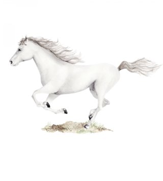 Zvieratá /  Nálepka na stenu Animals - biely kôň DK376 