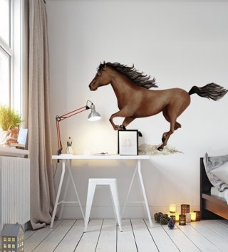 Zvieratá /  Nálepka na stenu Animals - hnedý kôň DK378 