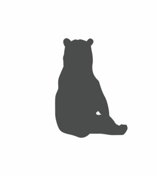 Forest - Lesný motív /  Nálepka na stenu Animals - medveď Z069 - pastelové 