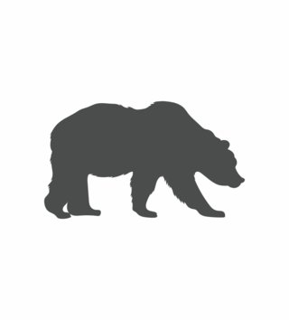 Forest - Lesný motív /  Nálepka na stenu Animals - medveď Z070 - pastelové 