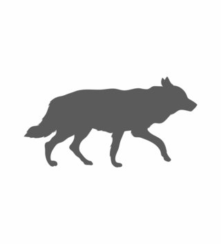 Forest - Lesný motív /  Nálepka na stenu Animals - vlk Z071 - pastelové 