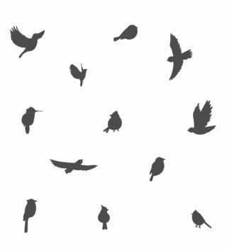 Zvieratá /  Nálepka na stenu Animals - vtáčiky 24 ks Z076 