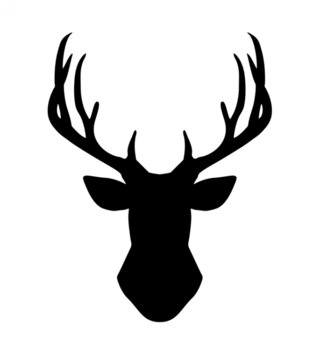 Forest - Lesný motív /  Nálepka na stenu Deer - jeleň Z054 