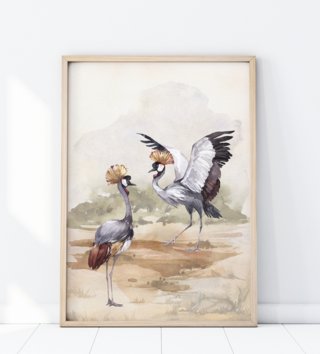 Plagáty /  Plagát Safari - Vtáky žeriavy korunované P331 