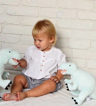 Plyšové hračky /  Plyšová hračka Dino mint M 