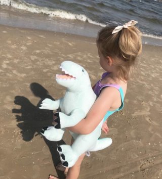 Plyšové hračky /  Plyšová hračka Dino mint L 