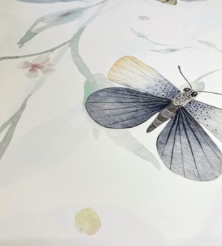 Tapety /  Vinylová tapeta Animals Motýle W02 