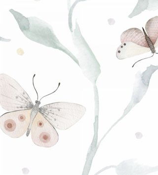 Tapety /  Vinylová tapeta Animals Motýle W02 
